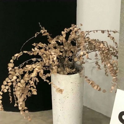 魏县FurryQQ群介绍